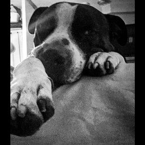 Meet your Posher, Sara